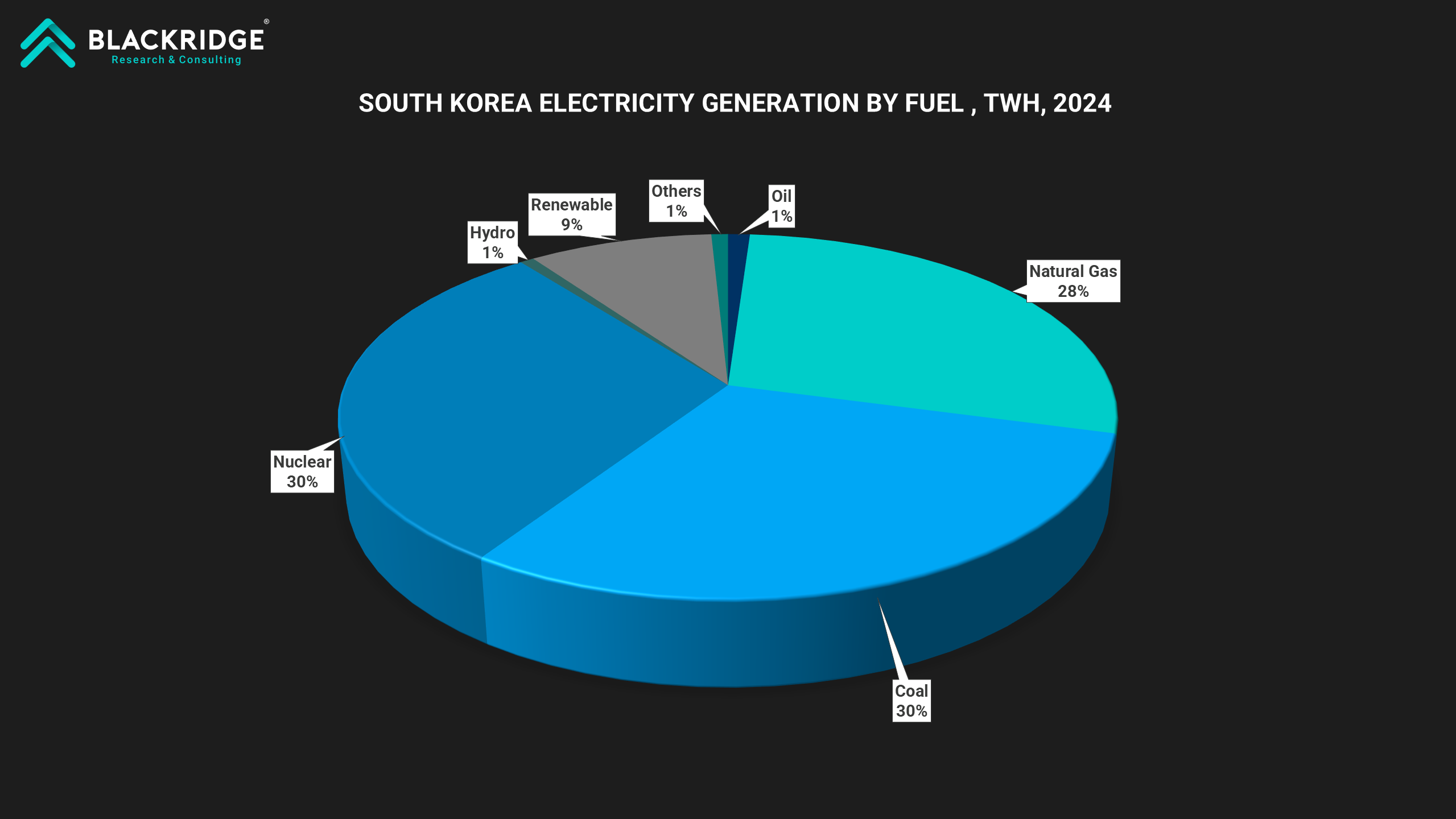 South Korea Energy Mix, 2024